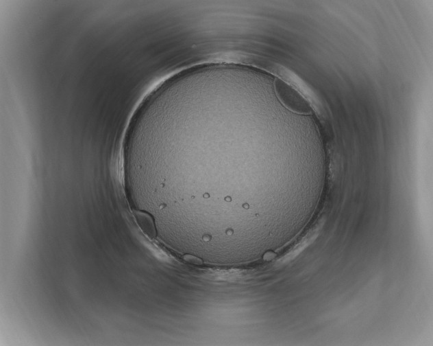 X0000111830940200908061152