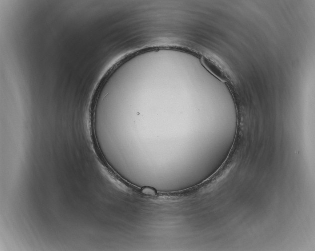 X0000111830942200908061152