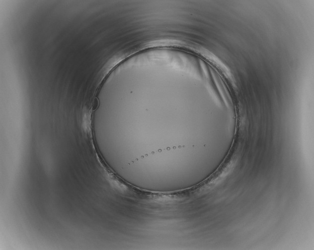 X0000111830945200908061153