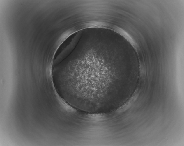 X0000111830946200908061153
