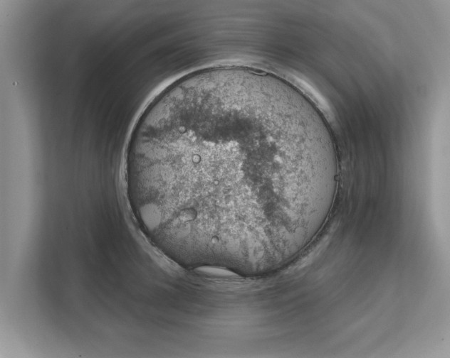 X0000111830948200908061153