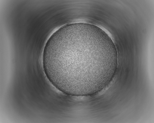 X0000111830949200908061153
