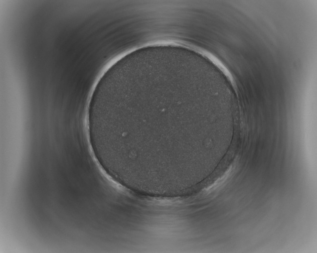 X0000111830951200908061153