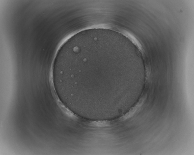 X0000111830952200908061153