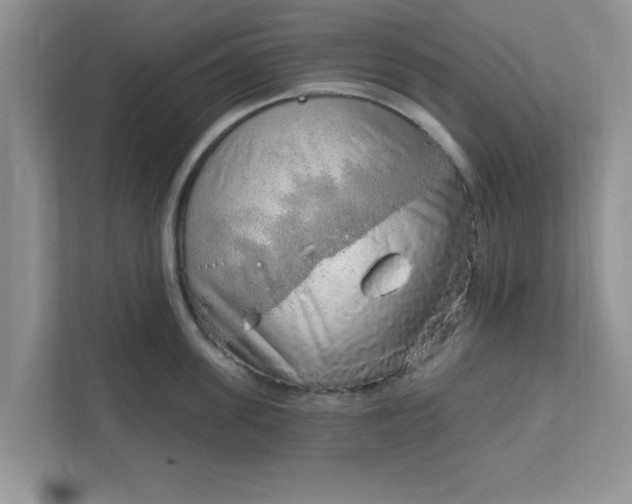 X0000111830955200908061153