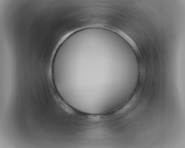 X0000111830956200908061153