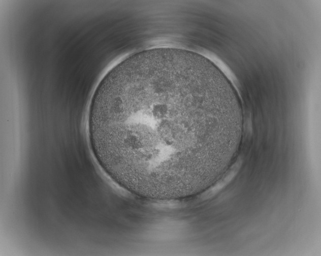 X0000111830957200908061153