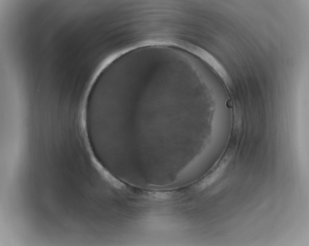 X0000111830958200908061153