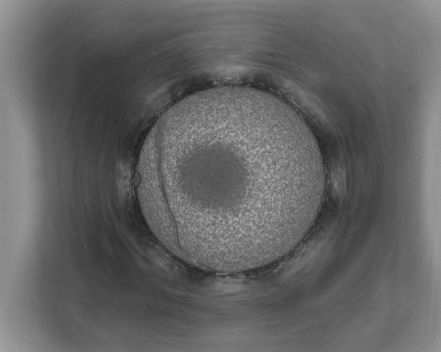 X0000111830964200908061152
