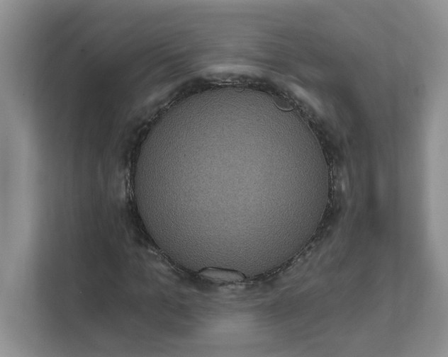 X0000111830965200908061152