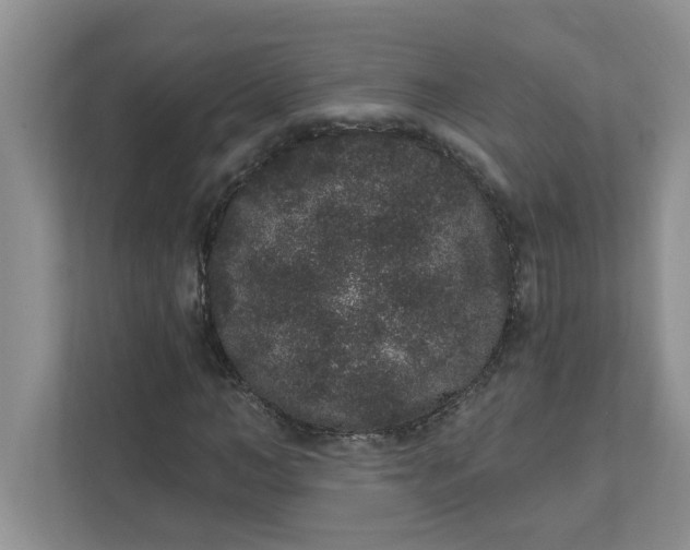 X0000111830966200908061152
