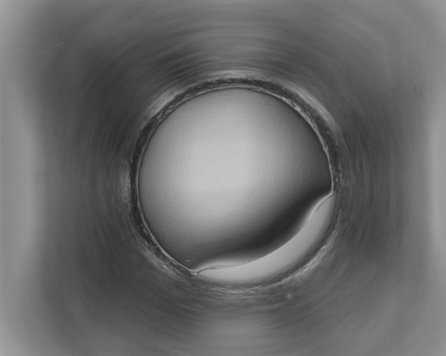 X0000111830969200908061152