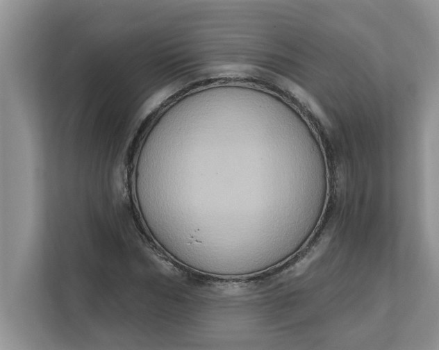 X0000111830970200908061152