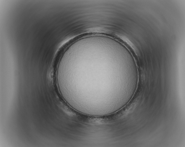 X0000111830971200908061152