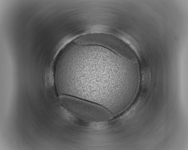 X0000111830973200908061152