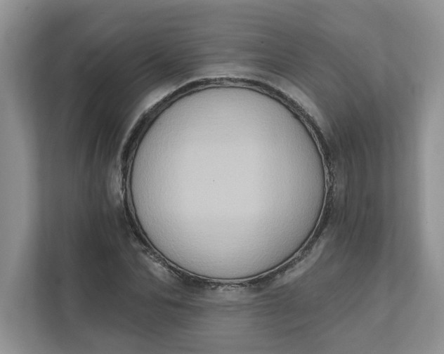 X0000111830974200908061152
