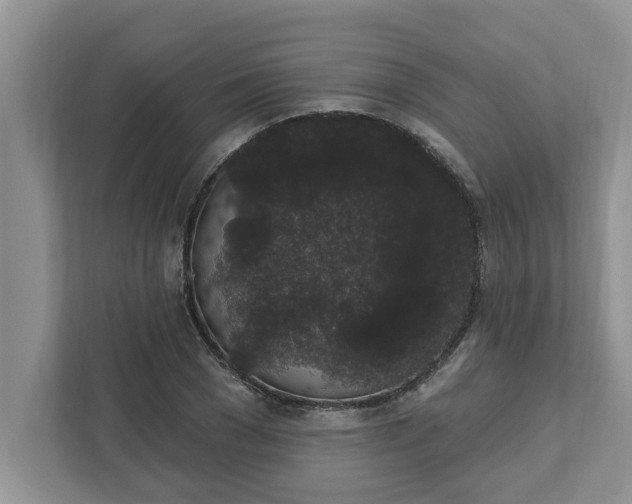 X0000111830977200908061152