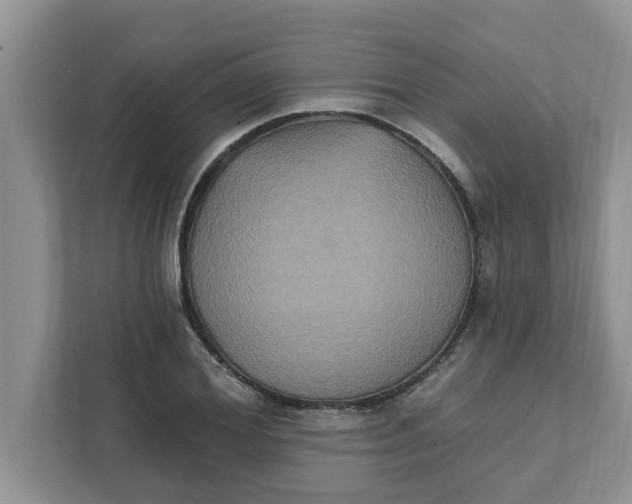 X0000111830980200908061152