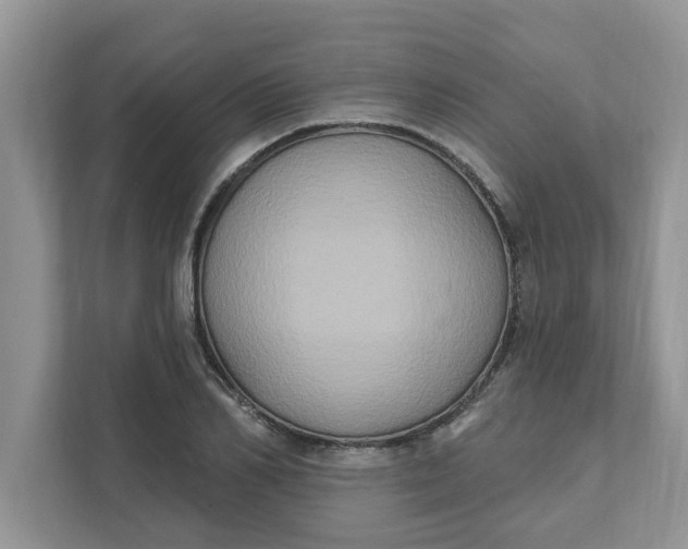 X0000111830982200908061152