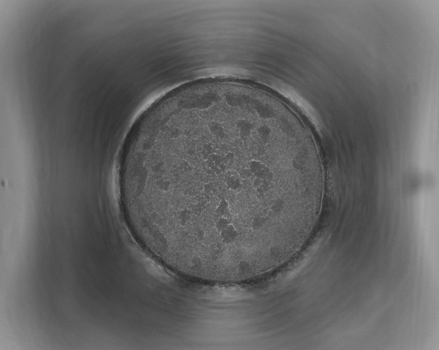 X0000111830983200908061152