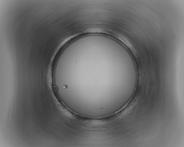 X0000111830984200908061152