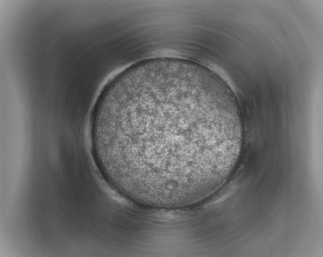 X0000111830987200908061152