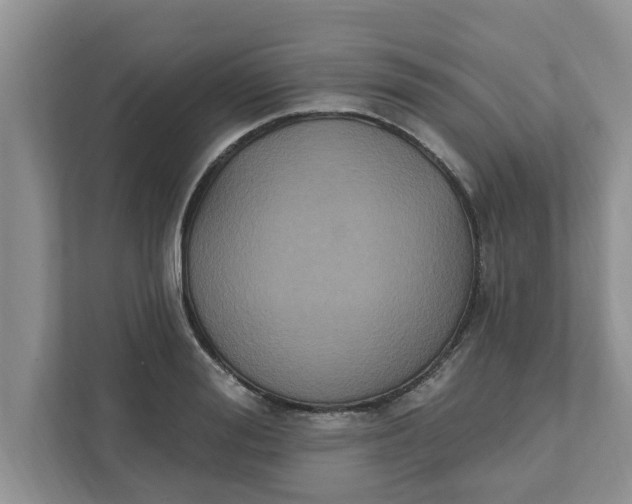 X0000111830988200908061152