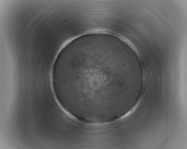 X0000111830989200908061152