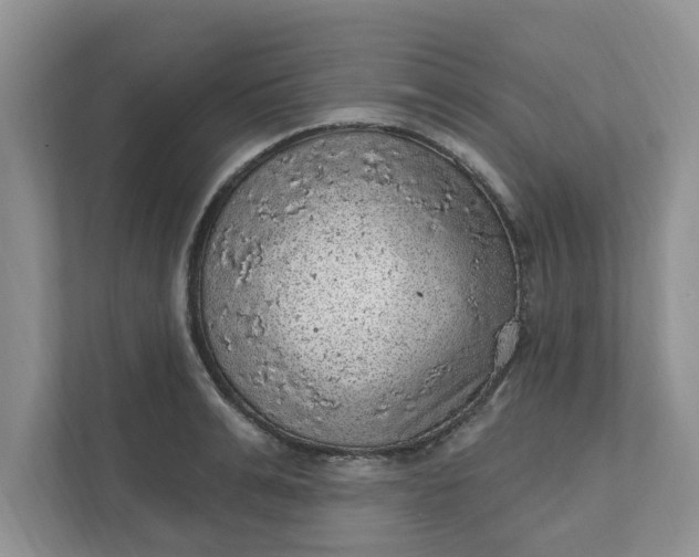 X0000111830991200908061152