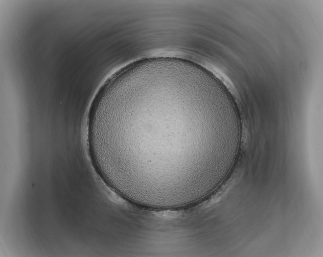 X0000111830992200908061152