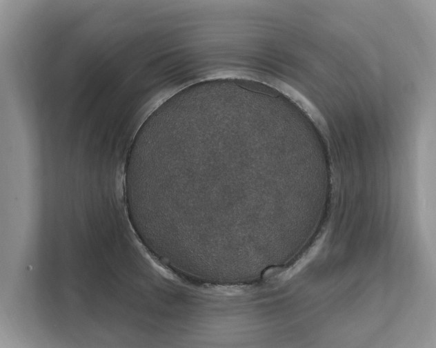 X0000111830993200908061152