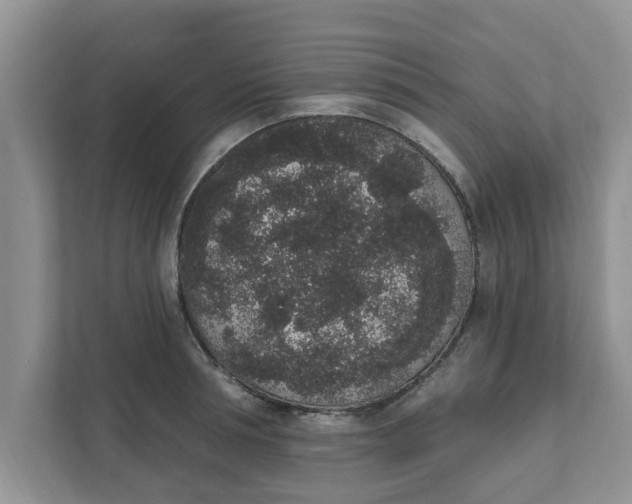 X0000111830994200908061152