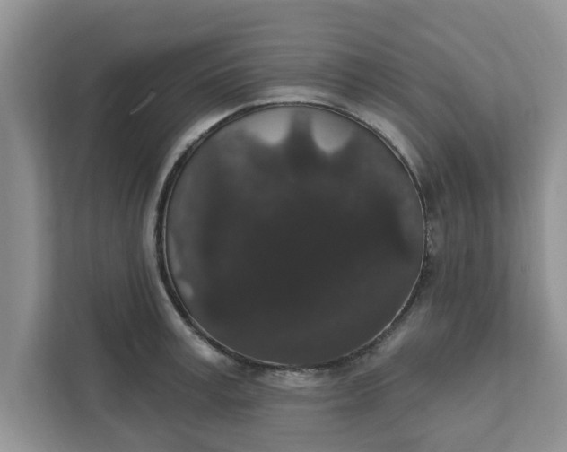 X0000111830995200908061152