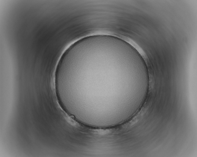X0000111830996200908061152
