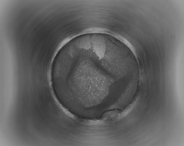 X0000111830997200908061152
