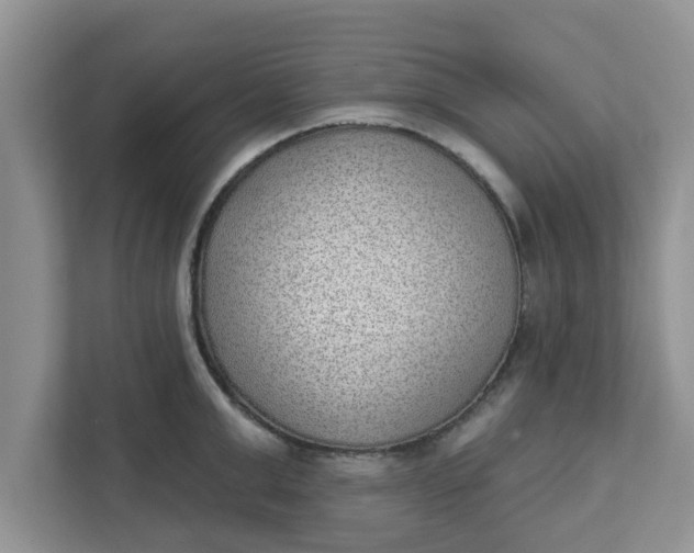 X0000111830999200908061152