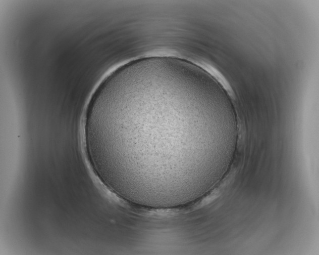 X0000111831000200908061152