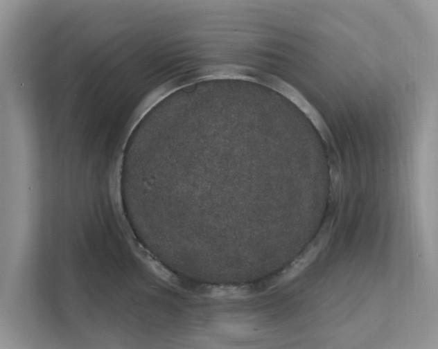 X0000111831002200908061152