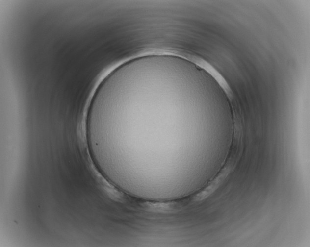 X0000111831004200908061152