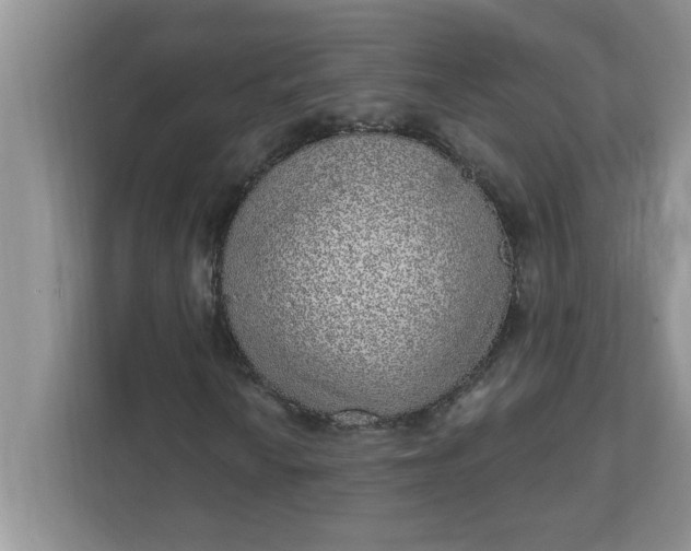 X0000111831010200908061151
