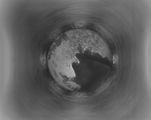 X0000111831011200908061151