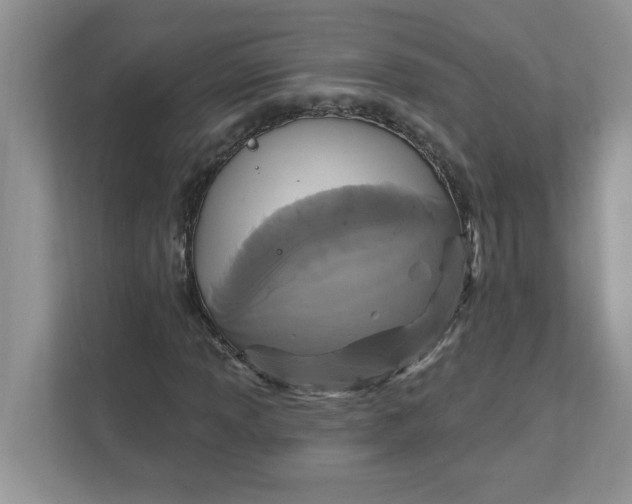 X0000111831013200908061151