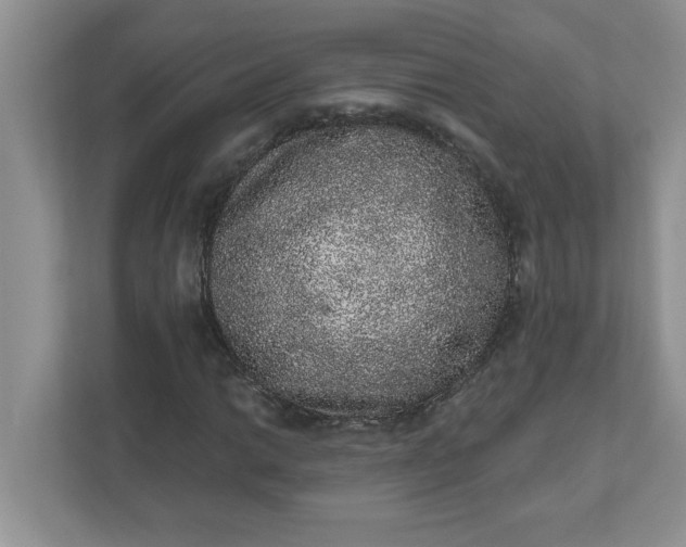 X0000111831014200908061151