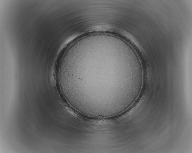X0000111831018200908061151