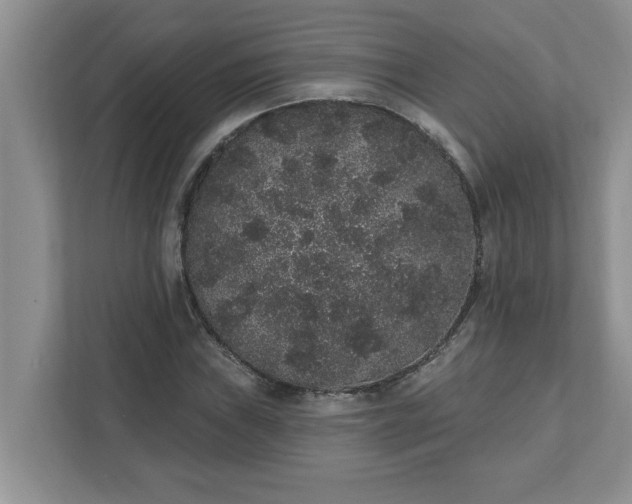 X0000111831019200908061151