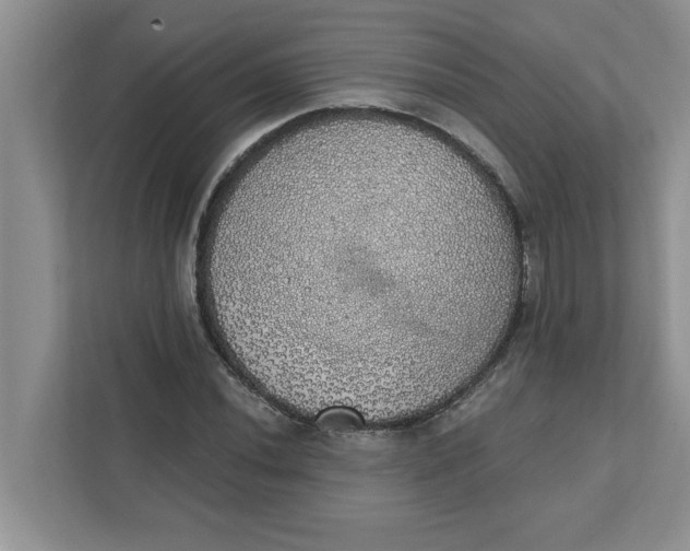 X0000111831020200908061151