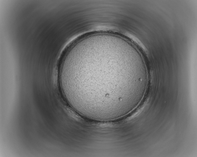 X0000111831021200908061151
