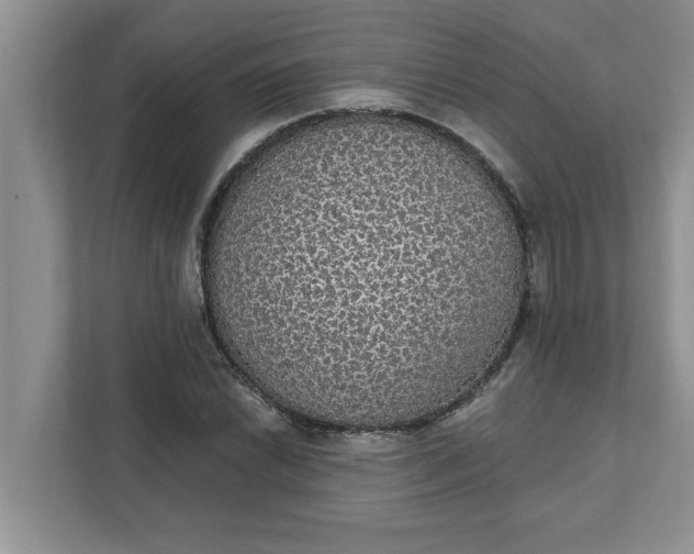 X0000111831022200908061151