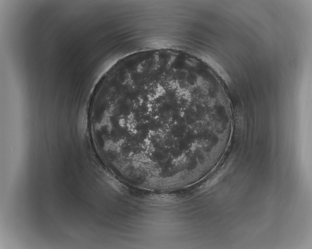 X0000111831023200908061151