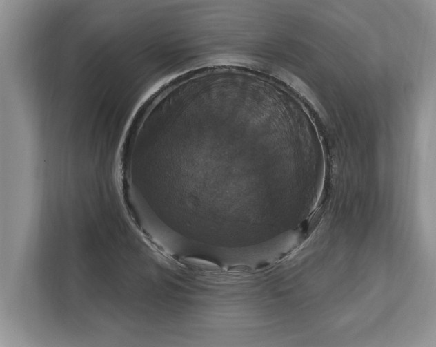 X0000111831024200908061151